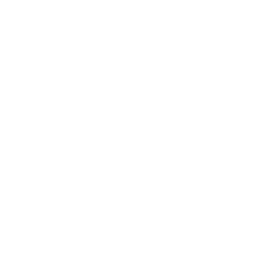 telefon iconu